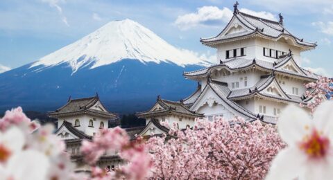 photo-1-1561514553684677883269